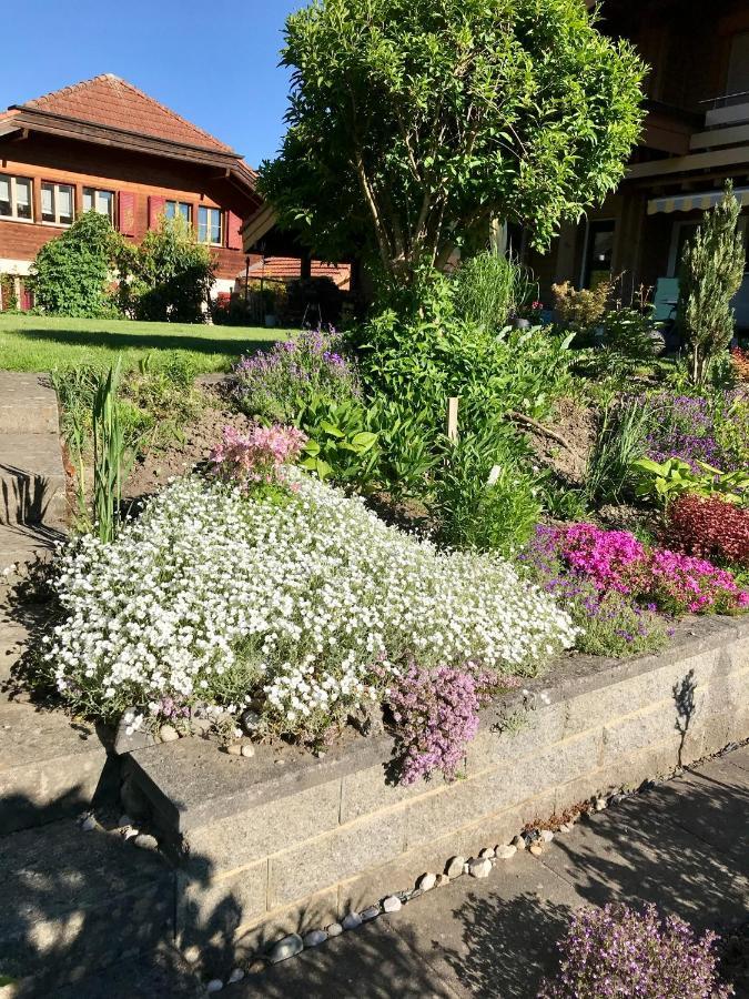 Apartment Beck Wilderswil Zewnętrze zdjęcie