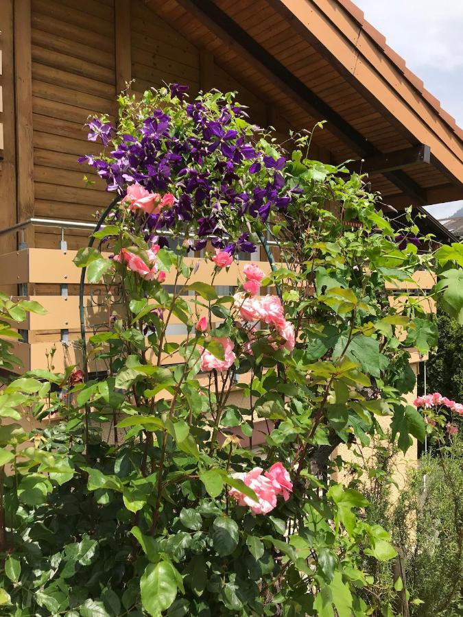 Apartment Beck Wilderswil Zewnętrze zdjęcie