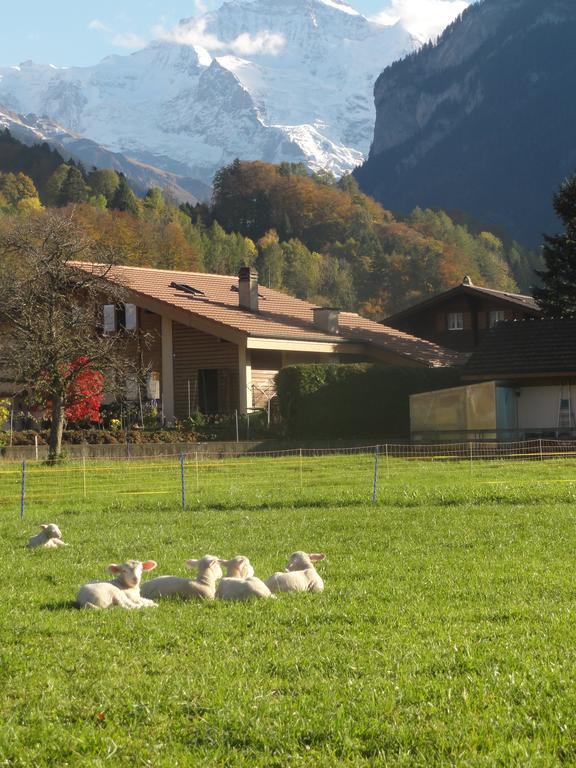 Apartment Beck Wilderswil Zewnętrze zdjęcie